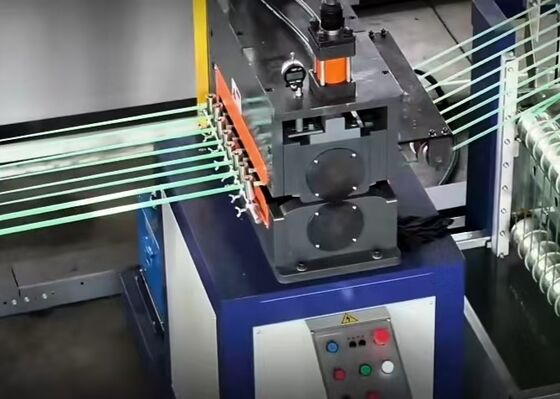 Ενεργειακά αποδοτική βιώσιμη γραμμή παραγωγής ιμάντων για κατοικίδια ζώα